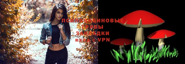 ALPHA-PVP Алексеевка