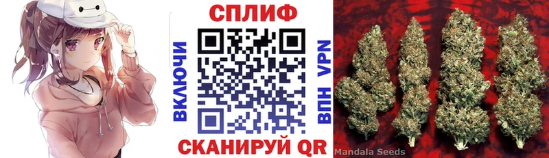 закладка  Ивангород  Канабис планчик 